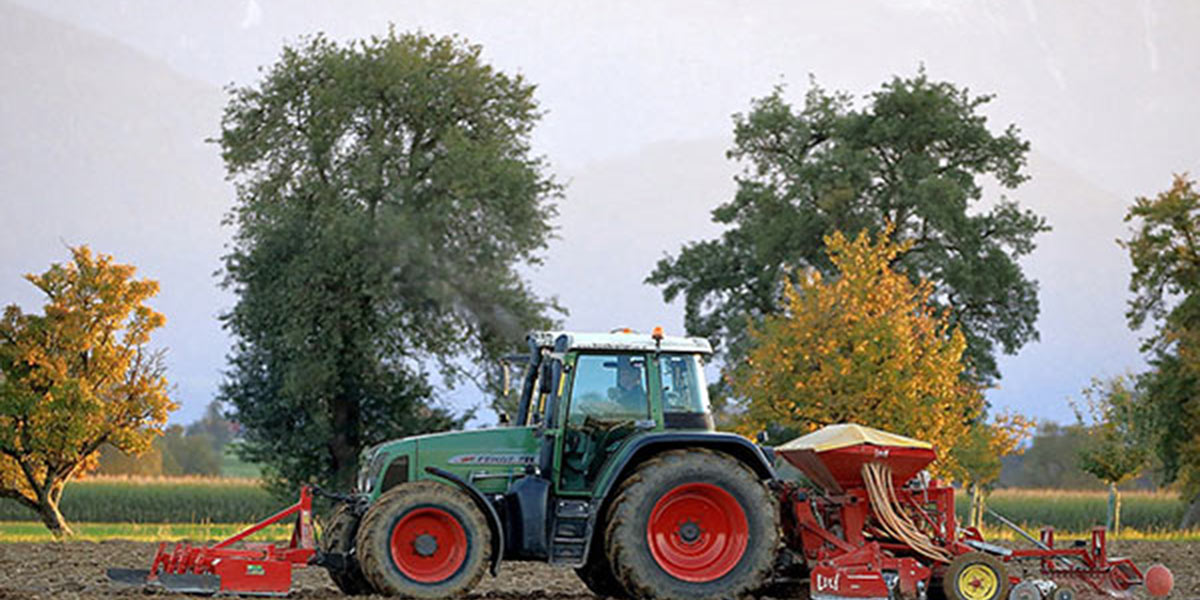 Un terzo dei terreni agricoli italiani è abbandonato